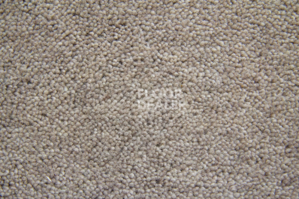 Ковролин  Greige фото 1 | FLOORDEALER